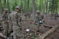 23 Engineer Regiment, Exercise EAGLE SAPPER, 2015