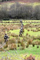 Airborne sappers of 23 Engineer Regiment (Air Assault) training at Sennybridge Training Area, South Wales, 2016