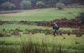 21 Special Air Service selection course at SENTA (Sennybridge Training Area), Wales, 2015