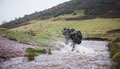 21 Special Air Service selection course at SENTA (Sennybridge Training Area), Wales, 2015