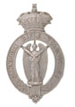 Helmet badge, Cawnpore Rifle Volunteers, 1877-1901