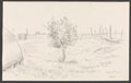 'May 31st 1917. Hesdin'