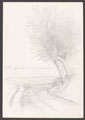 'Linghem', France, 1917 (c)