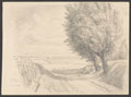 'Wind among the Willows June 15 1918', France, 1918