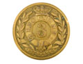 Button, 3rd Bengal Native Infantry, 1861-1881