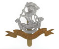Cap badge, Duke of Wellington's (West Riding Regiment), 1914 (c)