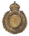 Pugri badge, 65th Carnatic Light Infantry, 1903-1904