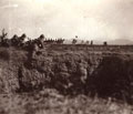 'H.RH Prince of Wales on Rawalpindi manoeuvres (King George V) Dec 1905'.