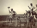 'Pioneer class constructing a bamboo pier across marsh. Rurki 1909', India, 1909