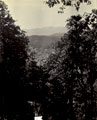 'View from near top of Jakko. Simla 6.2.10.', Shimla, India, 1910