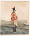 A volunteer of the Loyal Bath Volunteers, 1812 (c)