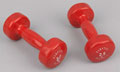 Pair of Hampton 2.5 kilogram weights, Defence Medical Rehabilitation Centre, Headley Court, 2017 (c)
