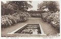 'Trent. Roses and Water Lilies', Trent Park, photograph postcard, no date