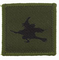 Tactical recognition flash, 202 Field Squadron Royal Engineers
