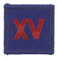Tactical recognition flash, 15 Air Assault Close Support Squadron, Royal Logistics Corps, 2007-2013
