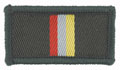 Tactical recognition flash, Small Arms School Corps