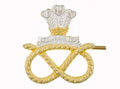 Cap badge, The Staffordshire Regiment (The Prince of Wales's), 2000 (c)