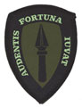 Badge, Headquarters Allied Rapid Reaction Corps (ARRC), subdued version, 1995
