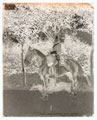Trooper, 1st King's Dragoon Guards, glass negative, 1895 (c)