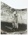 Bandsman, 93rd Princess Louise's (Argyll and Sutherland Highlanders), Glass Negative, 1895 (c) - 1900. 