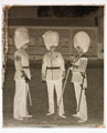 Drum Major and Drill Sergeants, 2nd Battalion, Coldstream Guards, Glass Negative, 1895 (c)
