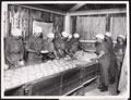 Women's Army Auxiliary Corps personnel working in a bakery, 10 February 1918
