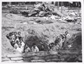 Members of the Queen Mary's Army Auxiliary Corps after an air raid at Abbeville, May 1918
