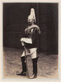 Squadron Corporal Major, 2nd Life Guards, 1895 (c)