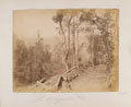 'The Morgandine Pass', Burma, 1891