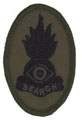 Advanced Search Qualification Badge, 2016.