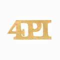 Shoulder title, 4th Punjab Infantry, pre-1903