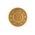 Button, 33rd (Allahabad) Regiment of Bengal Native Infantry, 1864-1885