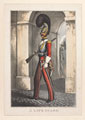 'A Life Guard', 1829