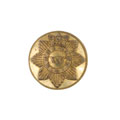 Button, 15th Madras Infantry, 1885-1901