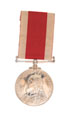 3rd China War Medal 1900, Surgeon Lieutenant Colonel Damodar Purshotum Warliker, 19th Regiment of Madras Infantry and Indian Medical Service