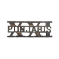 Shoulder title, 21st Punjabis, 1903-1922