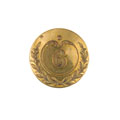 Button, 6th Bengal Native Infantry, pre-1857