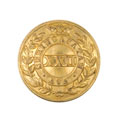 Button, 22nd Regiment of Madras Infantry, 1855-1903