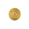 Button, 24th Regiment of Madras Native Infantry, 1838-1903