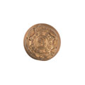 Button, 2nd (Prince of Wales's Own) Bombay Grenadiers, 1901-1903