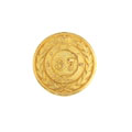 Button, officer, 37th (Dogra) Regiment of Bengal Infantry, 1887-1901