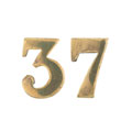 Shoulder title, 37th (Dogra) Regiment of Bengal Infantry, 1887-1903