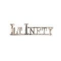 Shoulder title, 31st (Trichinopoly) Regiment of Madras Light Infantry, 1885-1892