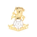Cap badge, other ranks, Yorkshire Regiment (14th/15th, 19th, and 33rd/76th Foot), 2019 (c)