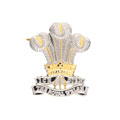 Cap badge, The Royal Welsh Regiment, 2019