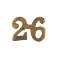 Shoulder title, 26th (Punjab) Regiment of Bengal Infantry, 1885-1901