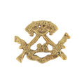 Pugri badge, 26th (Punjab) Regiment of Bengal Infantry, pre-1901