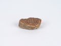 Fragment of rock from the Moori River, Natal, South Africa, 1900