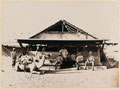 Royal Engineers mess, Quarantine Island, near Suakin, 1885