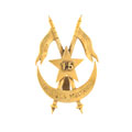Cap badge, officer, 15th (Cureton's Multani) Regiment of Bengal Lancers, 1st pattern, 1890-1922